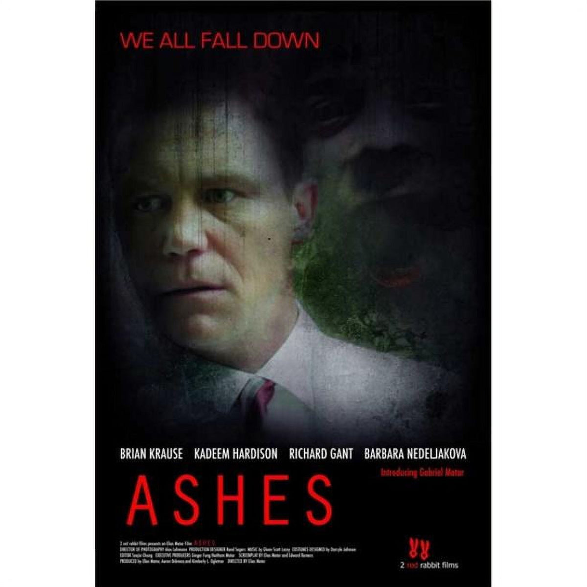 Ashes movie poster print 27x40 inches, perfect for film lovers.