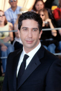 David Schwimmer at the 8th Annual SAG Awards Print by Robert Hepler