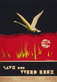 Save Our Wildlife Poster Print by Dorothy Waugh - 18x24