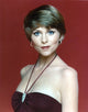 Lauren Tewes posed elegantly in a brown dress photo print
