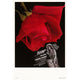 'The Rose' Movie Poster Print - 27 x 40 size showcasing vibrant imagery.