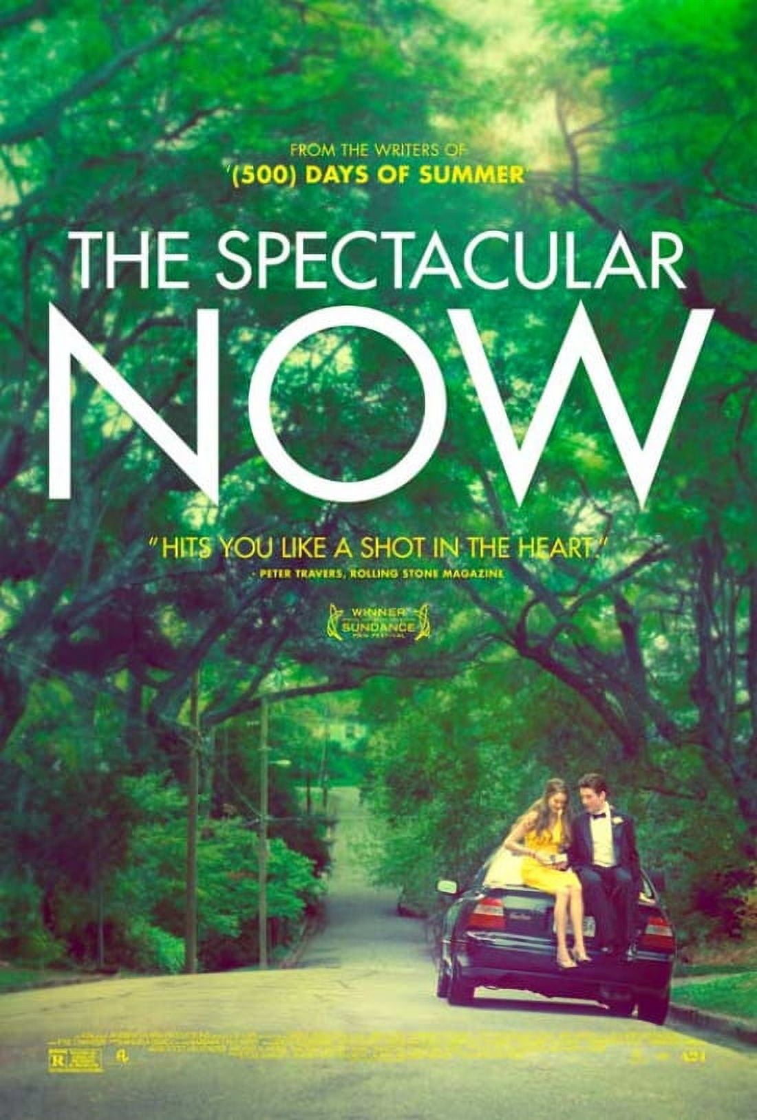 The Spectacular Now movie poster print in 27x40 inches.