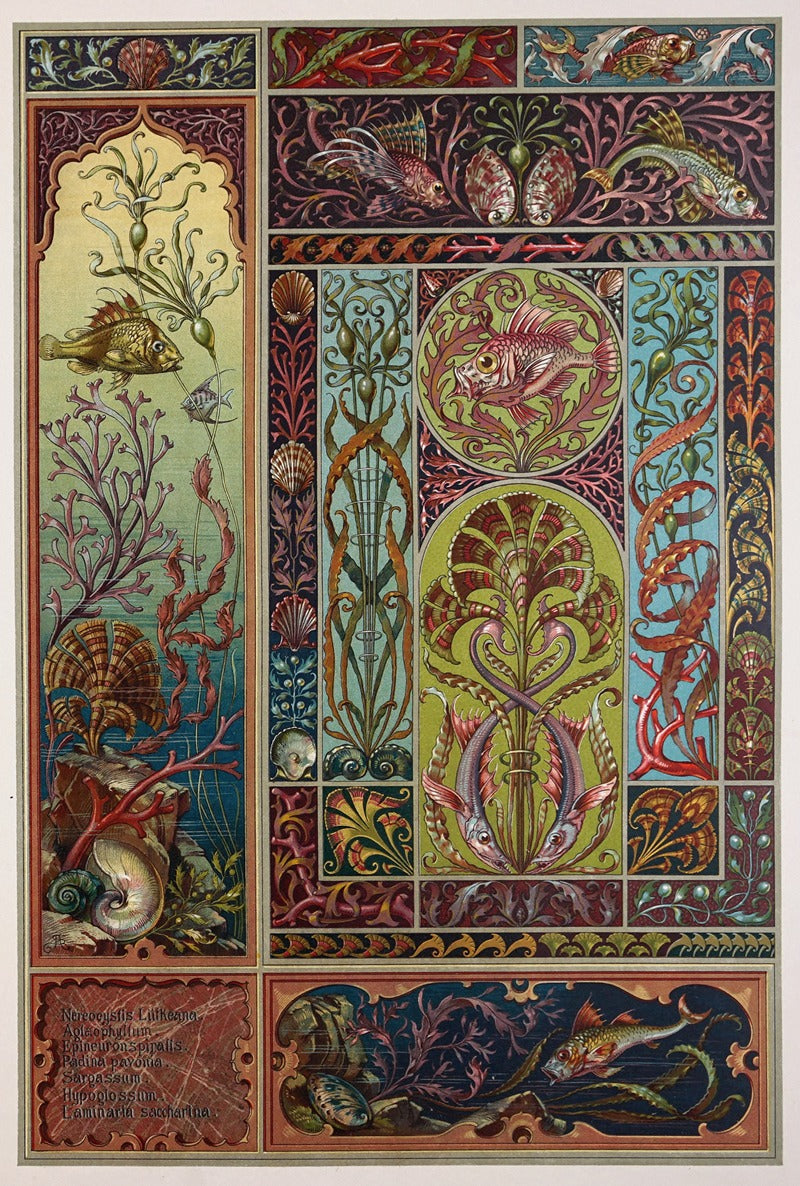 Die Pflanze in Kunst und Gewerbe botanical print by Anton Seder