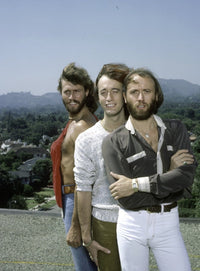 The Bee Gees iconic photo print showcasing legendary music trio.