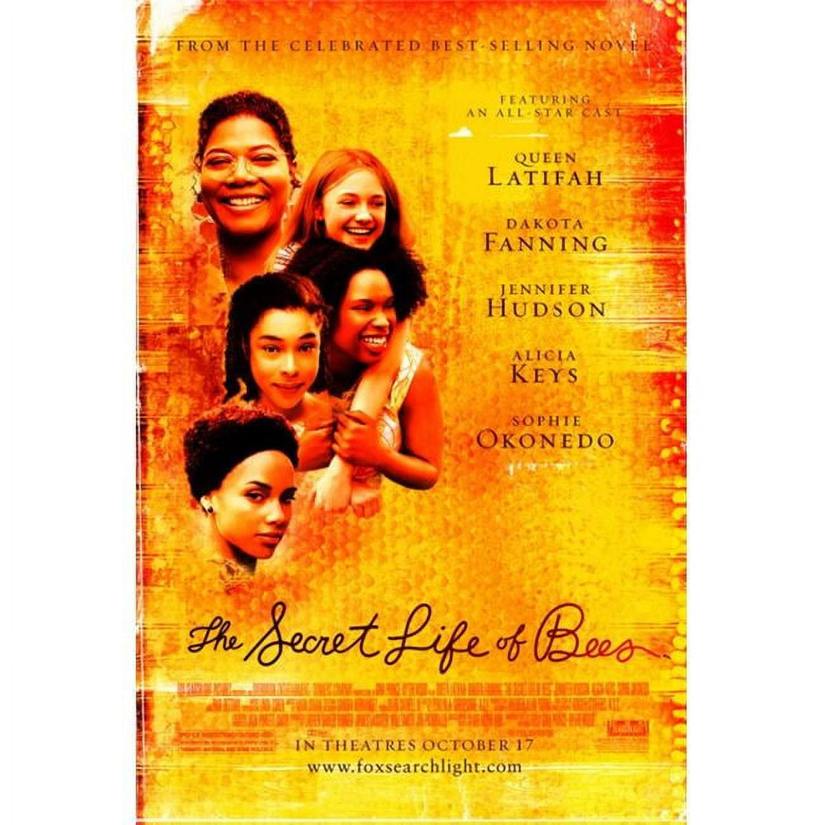 The Secret Life of Bees movie poster print 27x40