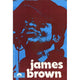 James Brown Movie Poster Print 27x40 - Iconic Music Legend Artwork