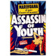 Assassin of Youth movie poster print - vintage film art