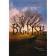 Big Fish movie poster print 27x40 inches depicting whimsical elements.