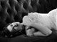 Barbara Hale Lying on a Couch Photo Print