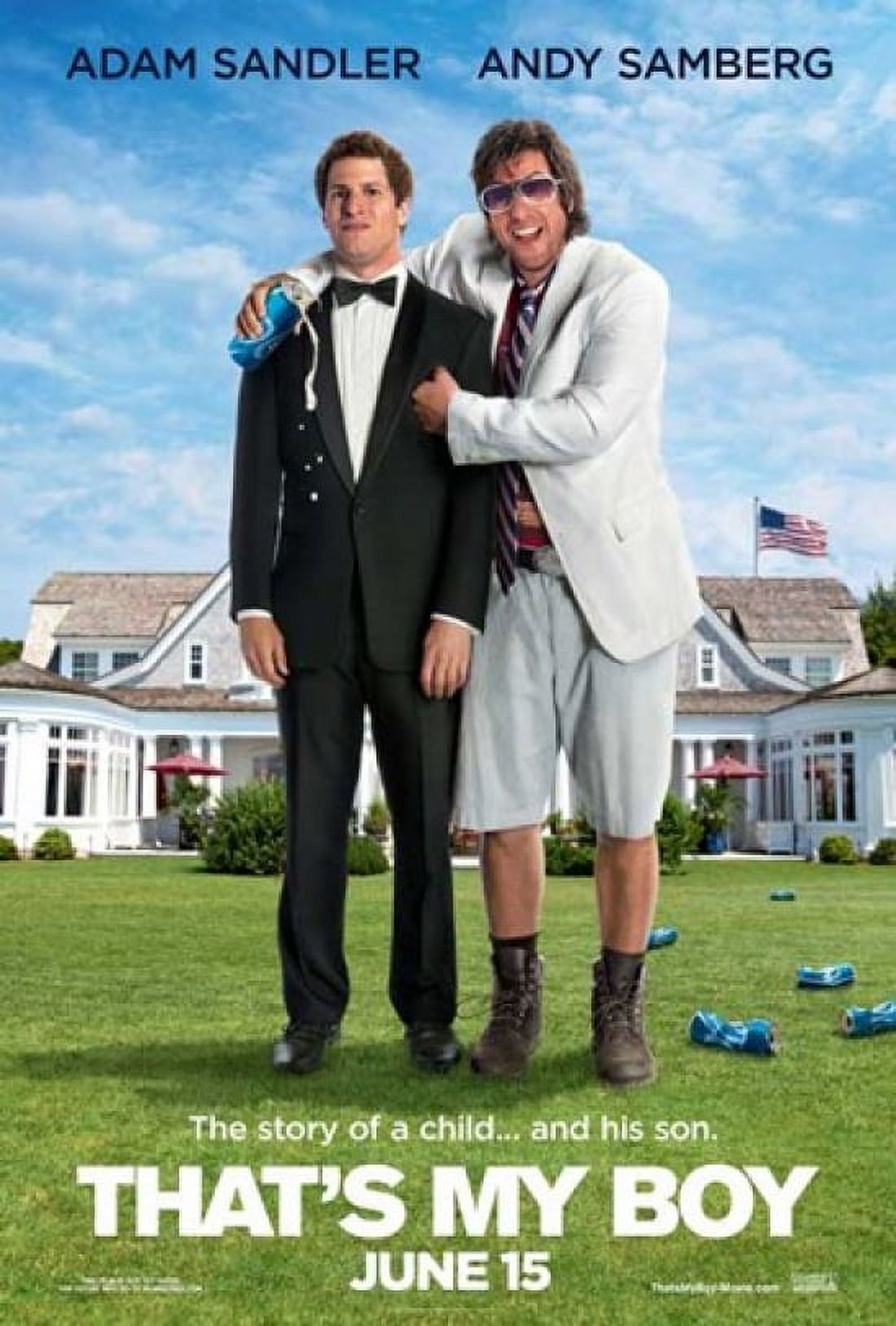 That's My Boy movie poster featuring vibrant imagery from the comedy film.