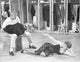 Damn Yankees black and white movie photo print