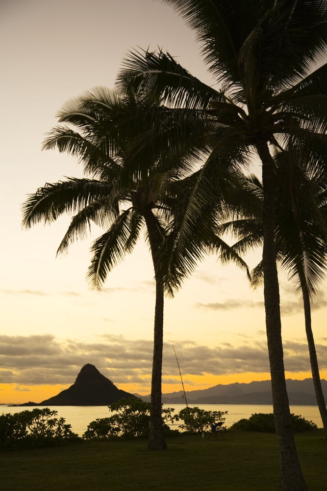 Hawaii Silhouette of Palm Tree and Chinaman's Hat Poster Print (11x17)