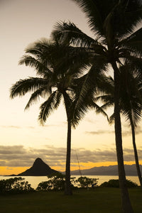 Hawaii Silhouette of Palm Tree and Chinaman's Hat Poster Print (11x17)