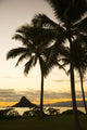 Hawaii Silhouette of Palm Tree and Chinaman's Hat Poster Print (11x17)