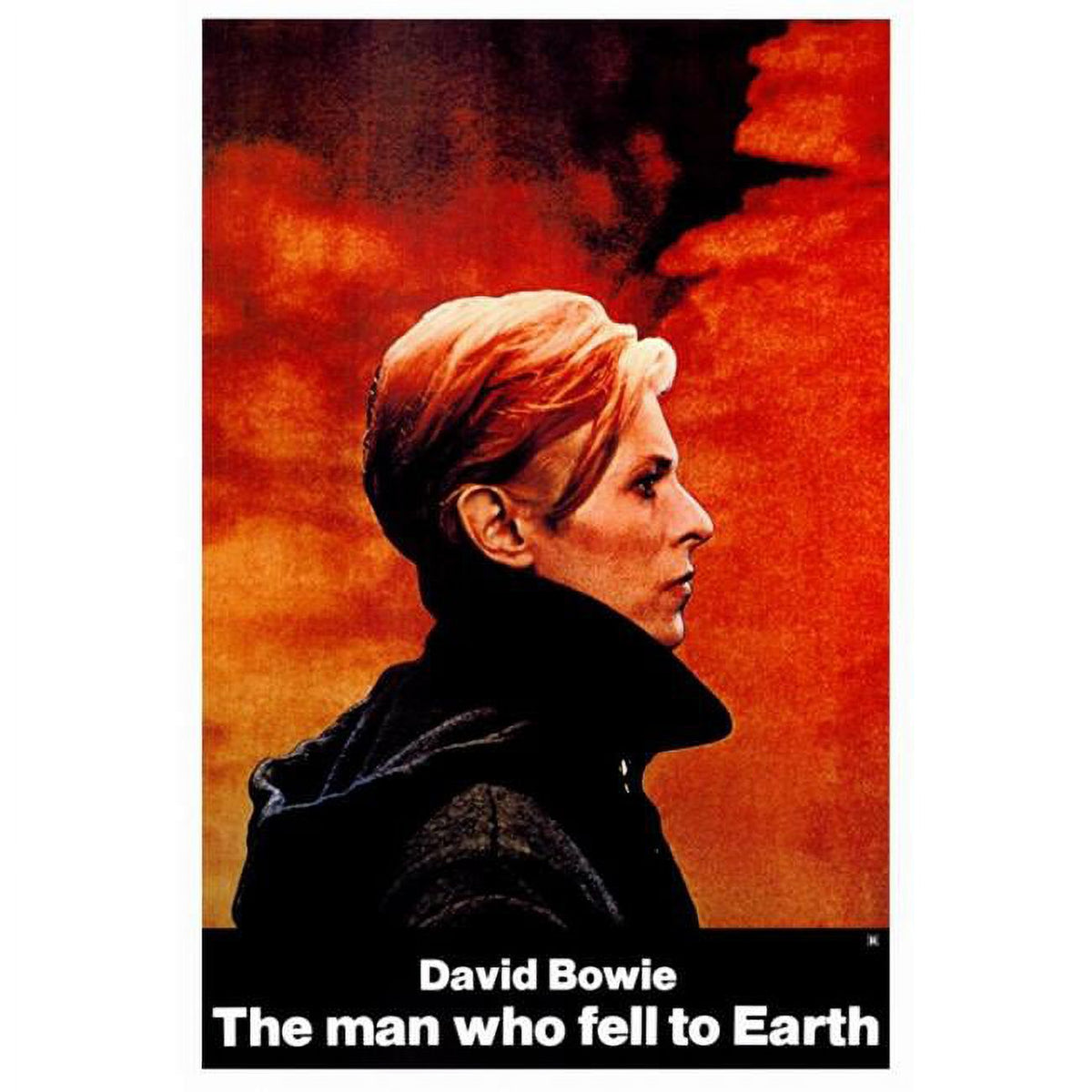 The Man Who Fell to Earth movie poster print in 27x40 size