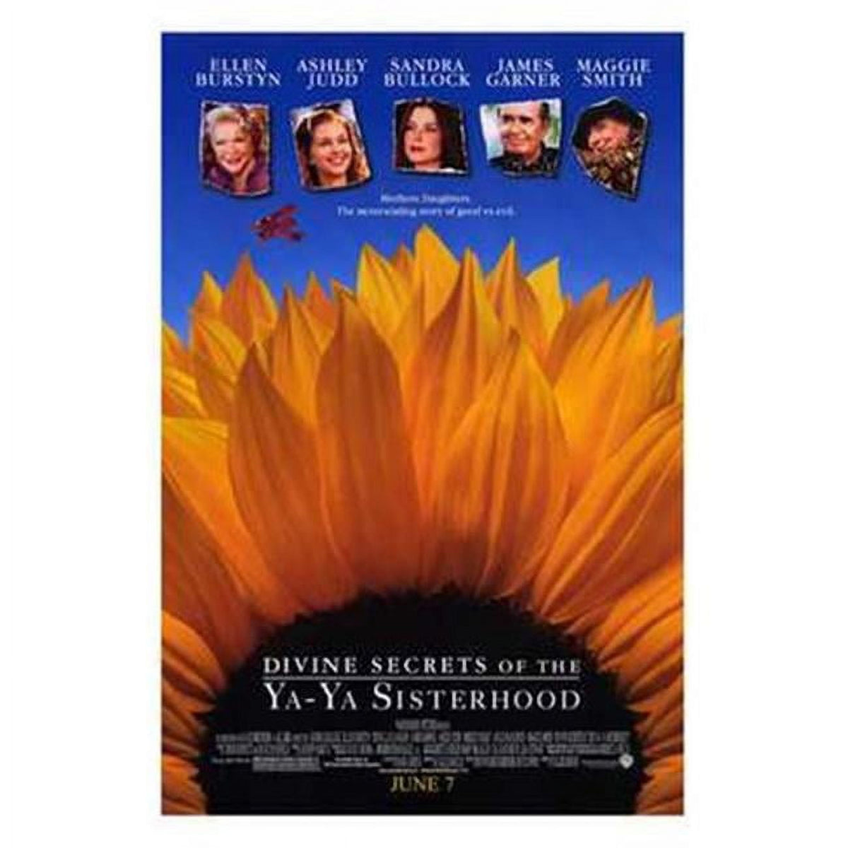 Divine Secrets of the Ya-Ya Sisterhood Movie Poster 11x17