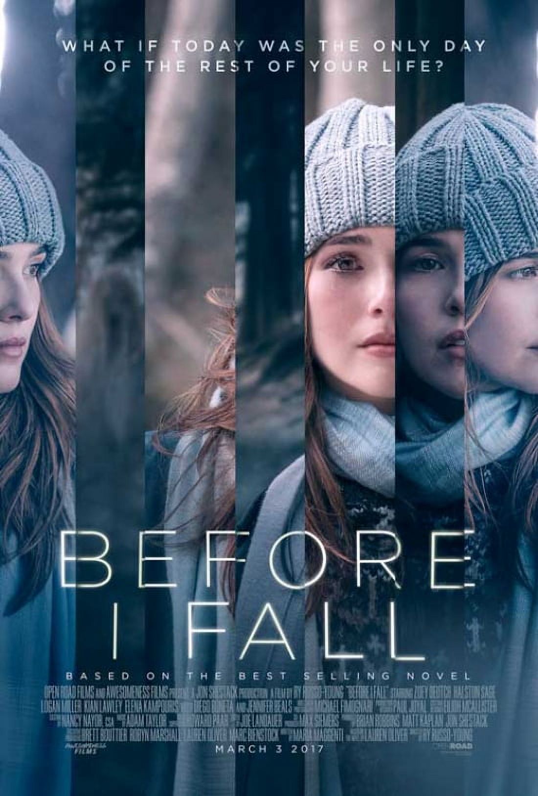 Before I Fall movie poster 27x40 print