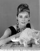Breakfast at Tiffany's iconic photo print showcasing classic Hollywood.