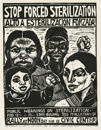 Stop Forced Sterilization motivational poster print by Rachael Romero