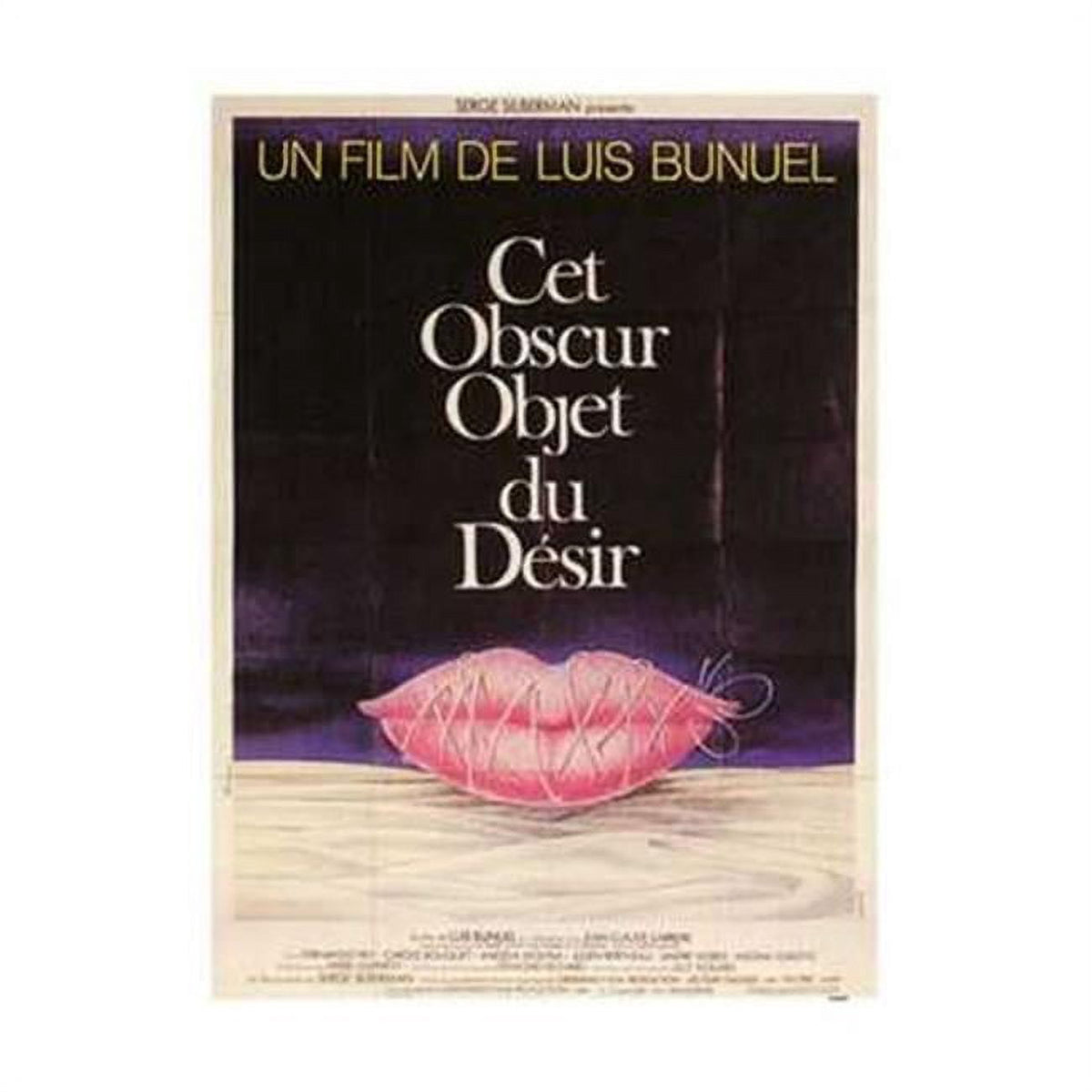 That Obscure Object of Desire Movie Poster 11x17