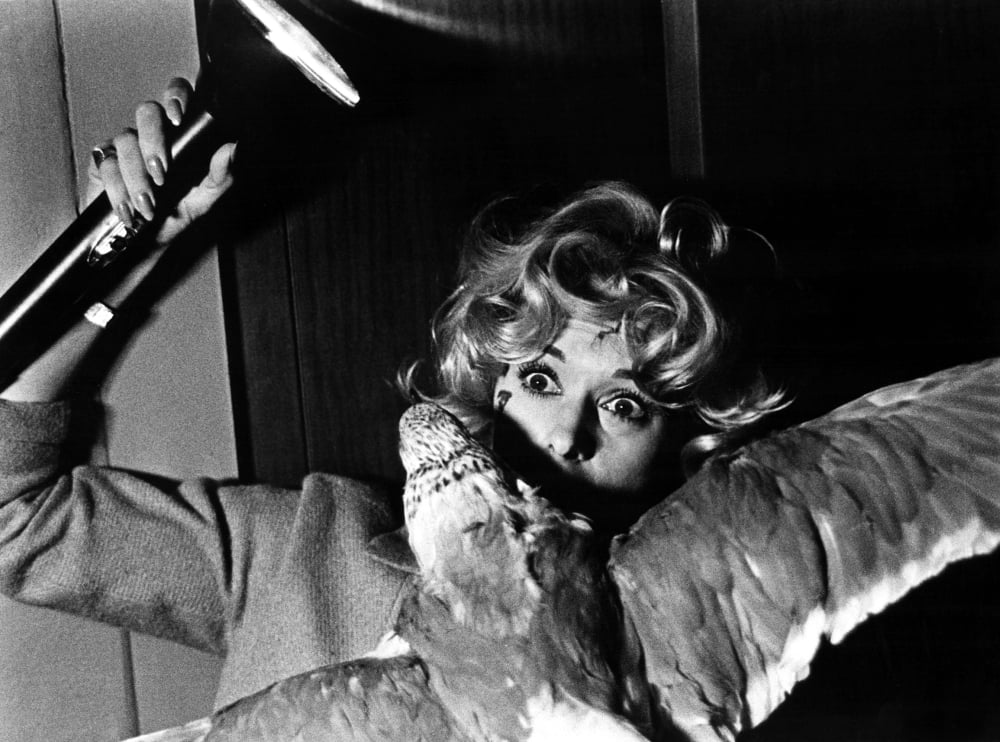 The Birds Tippi Hedren photo print - Classic film art