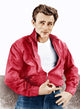 James Dean Rebel Without A Cause Photo Print