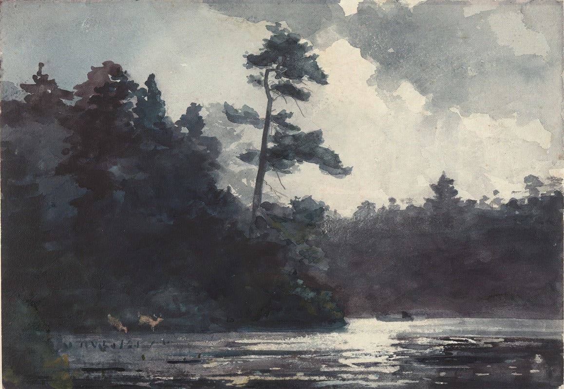Adirondack Lake Art Print by Winslow Homer - 18x24