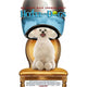 Hotel for Dogs Style D Movie Poster - 11x17 inches