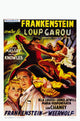 Frankenstein Meets The Wolf Man Movie Poster Masterprint, vintage horror film art.