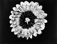 Gold Diggers Shadow Waltz 1933 Photo Poster Print