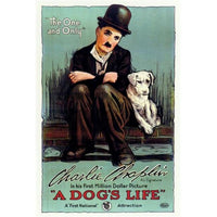 A Dog's Life movie poster print showcasing joyful dogs.