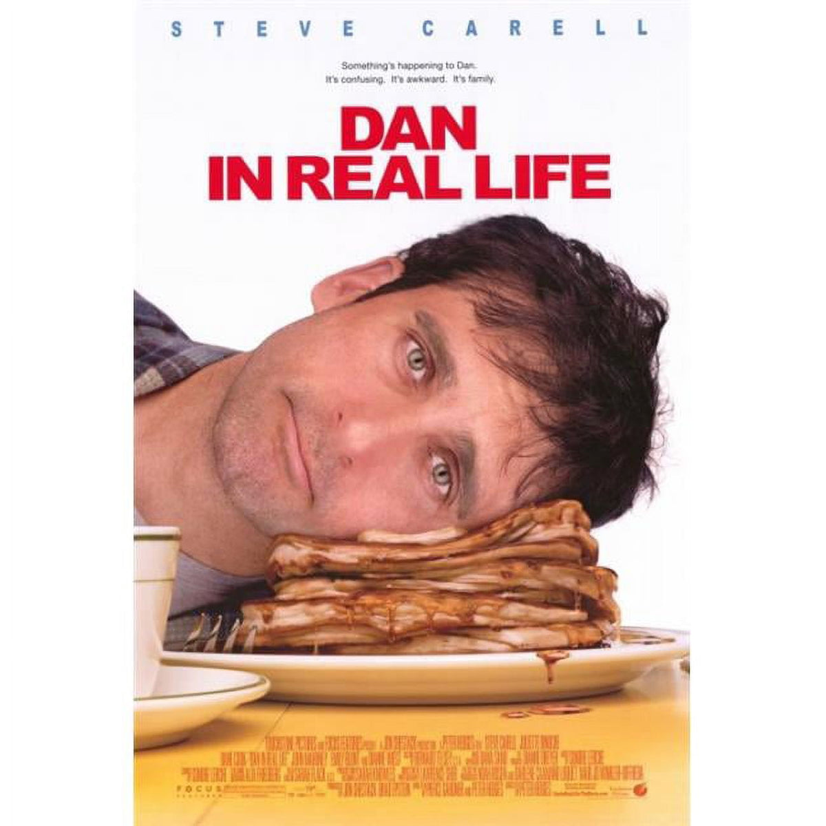 Dan in Real Life movie poster print 27x40