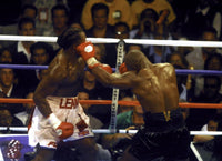 Mike Tyson vs. Lennox Lewis boxing match photo print capturing intense action.