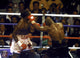 Mike Tyson vs. Lennox Lewis boxing match photo print capturing intense action.