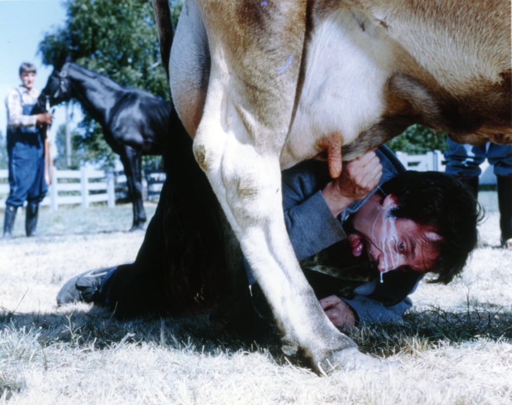 Tom Green Milking a Cow Photo Print in multiple sizes