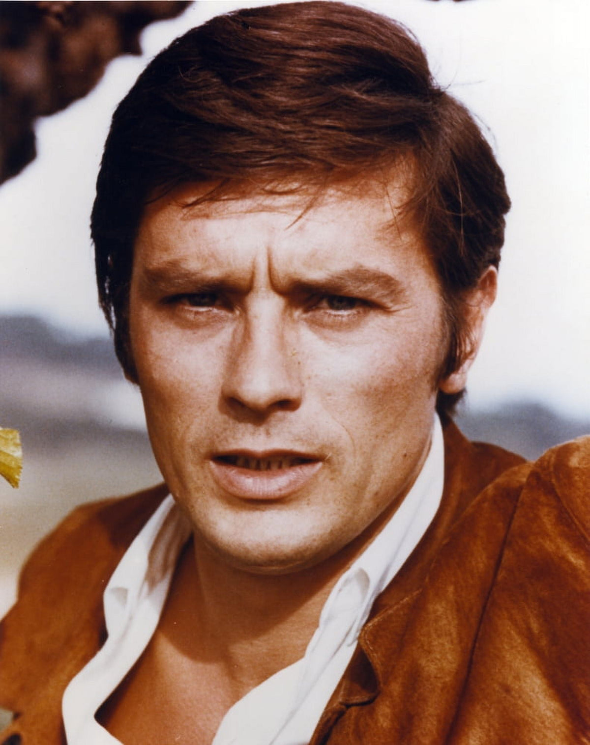 Close up portrait photo print of Alain Delon wearing a brown suit.