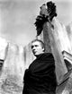 Horror of Dracula Photo Poster Print - Classic Horror Art