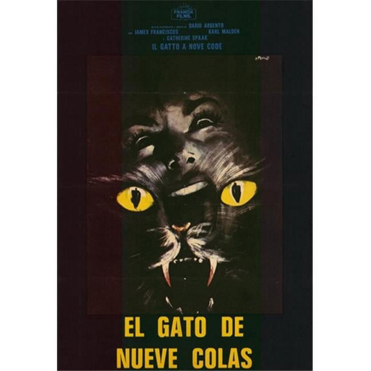 Cat o' Nine Tails Movie Poster 11x17 - classic cinema artwork