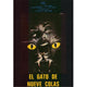 Cat o' Nine Tails Movie Poster 11x17 - classic cinema artwork
