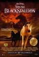 Young Black Stallion Movie Poster featuring a boy and his horse