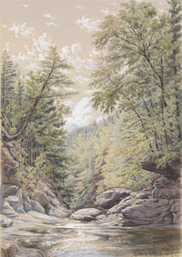 Catskill Clove in Palingsville Fine Art Print by William Rickarby Miller