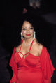 Diana Ross wearing Tom Ford at Metropolitan Museum of Art Gala Poster Print