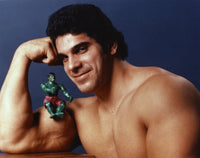 Lou Ferrigno Incredible Hulk Action Figure Portrait Photo Print