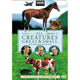 All Creatures Great and Small Movie Poster Print 27x40