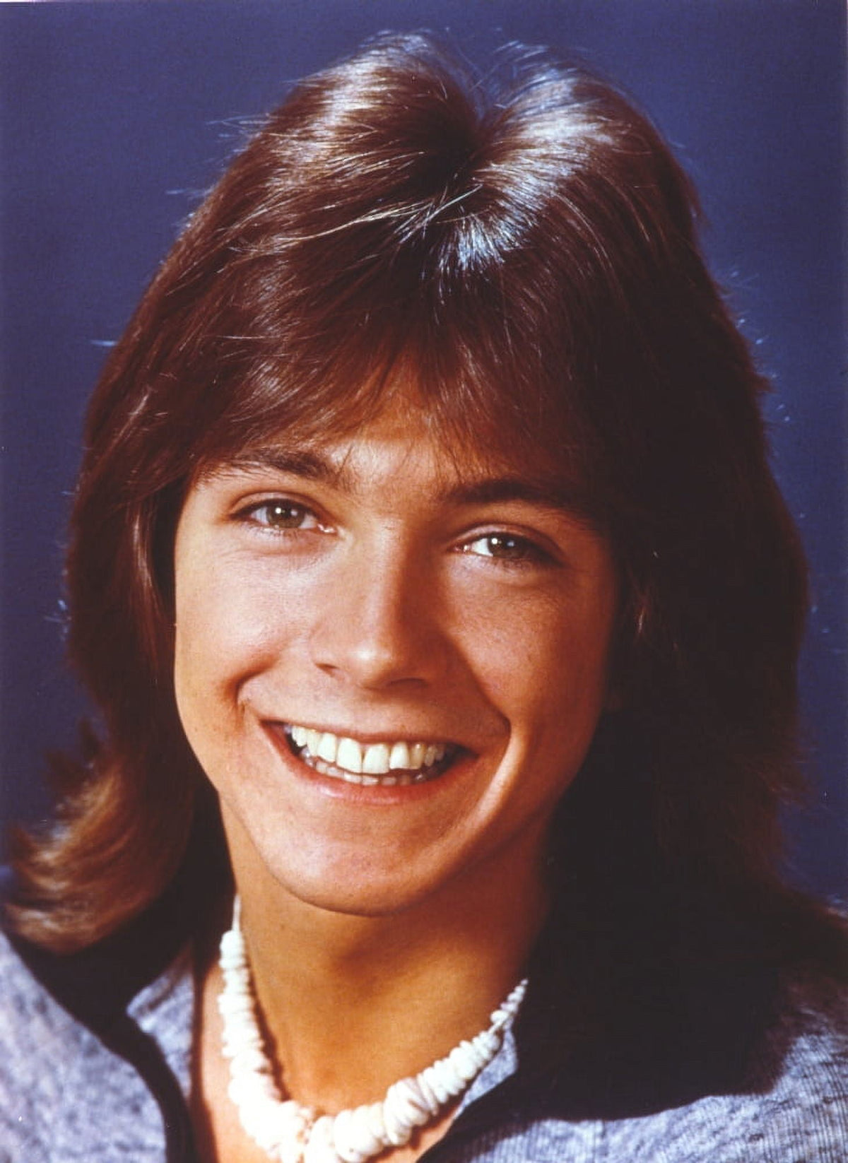 David Cassidy posed in blue coat photo print