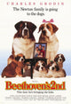 Beethoven's 2nd movie poster print in 11x17 size.