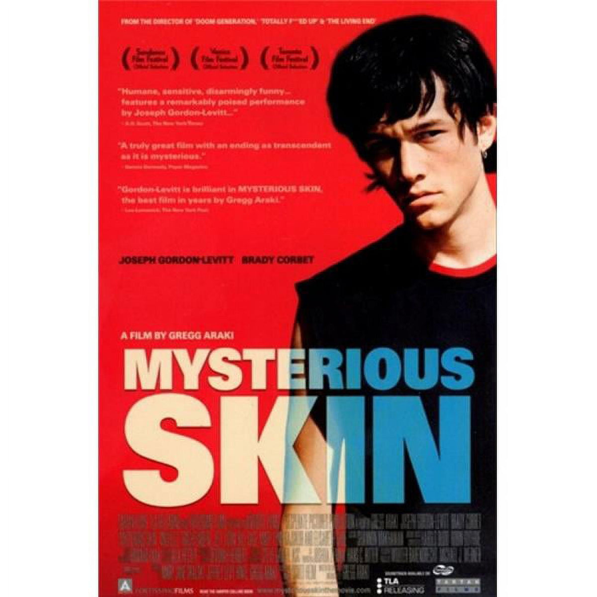 Mysterious Skin Movie Poster 11x17 print for film lovers