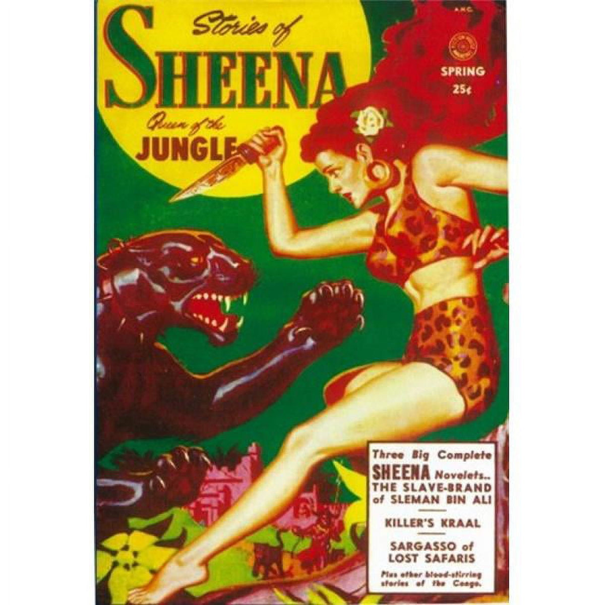 Sheena Queen of The Jungle Movie Poster 11x17 print.