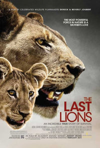 The Last Lions movie poster showcasing lions in the wild - 11x17
