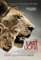 The Last Lions movie poster showcasing lions in the wild - 11x17